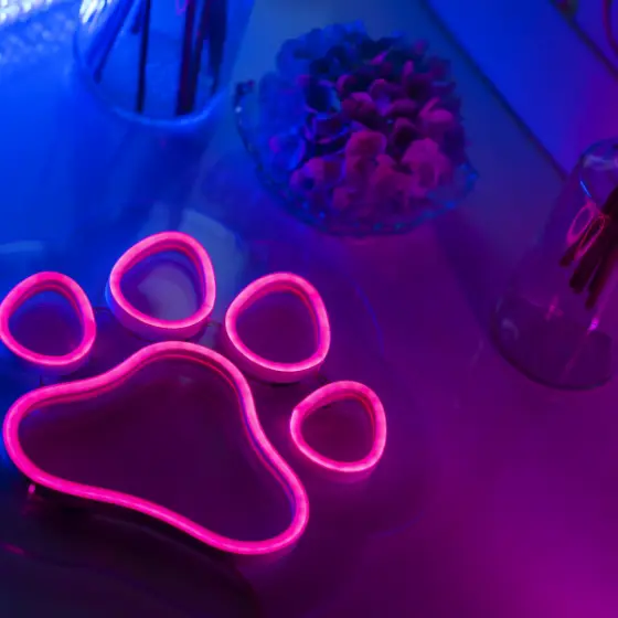 Gifts — LED neon sign project 6