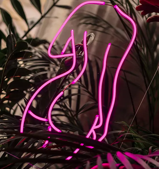 Home interior — LED neon sign project 1