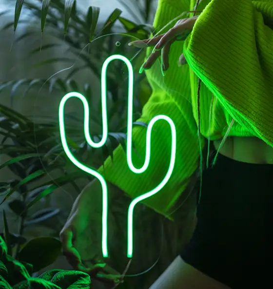 Home interior — LED neon sign project 4